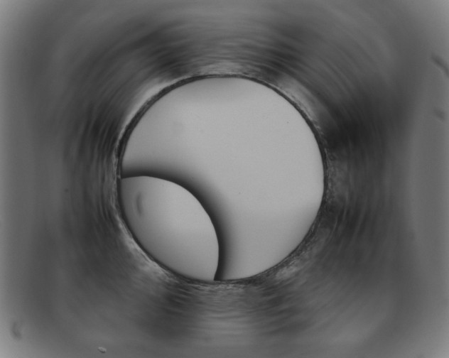 X0000092101000200709121106