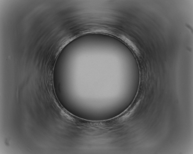X0000092101001200709121106