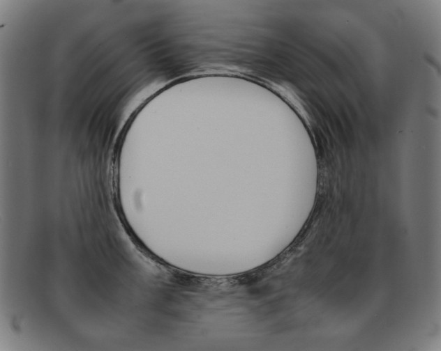 X0000092101003200709121106