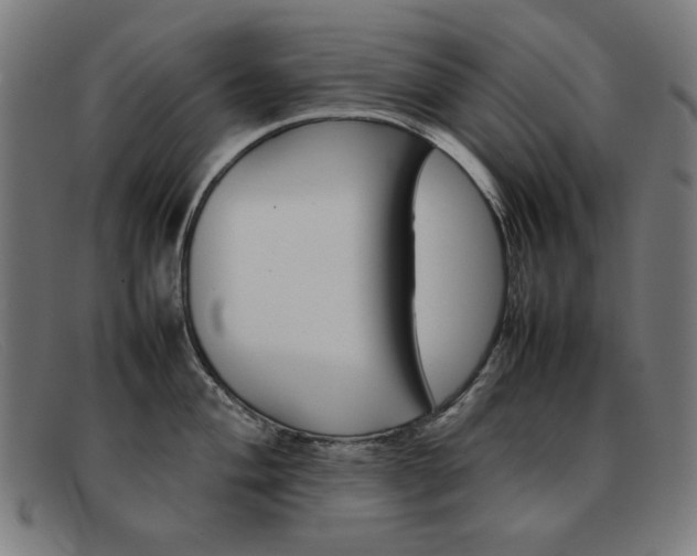 X0000092101004200709121106