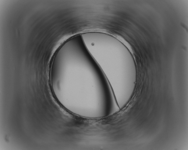X0000092101005200709121106