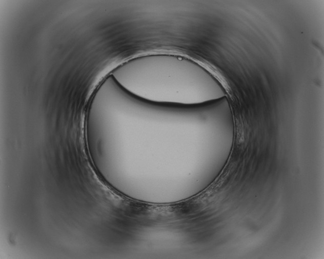 X0000092101006200709121106