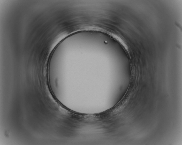 X0000092101007200709121106