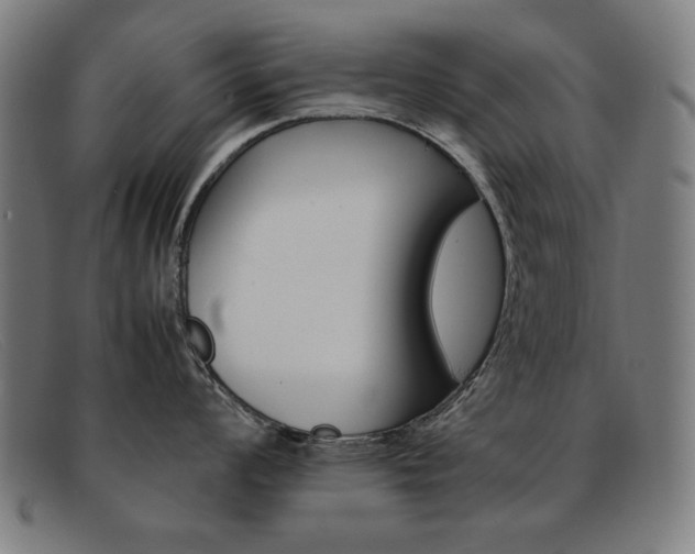 X0000092101008200709121106
