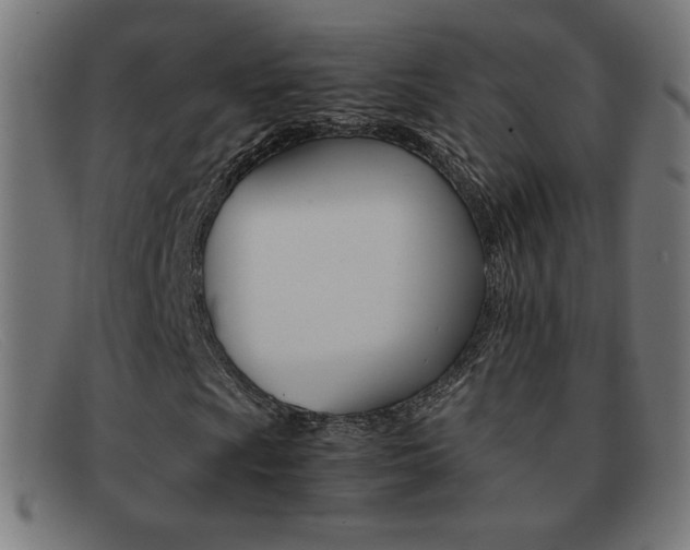 X0000092101009200709121105