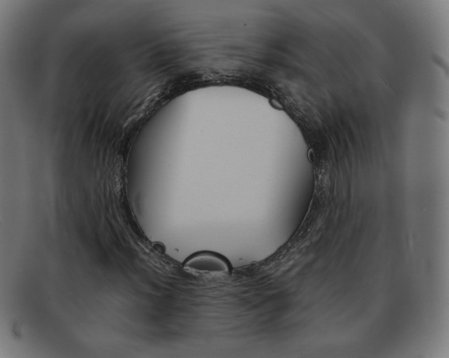 X0000092101012200709121105