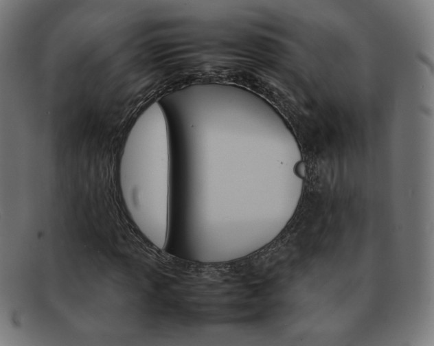 X0000092101013200709121105