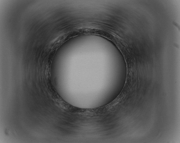 X0000092101014200709121105