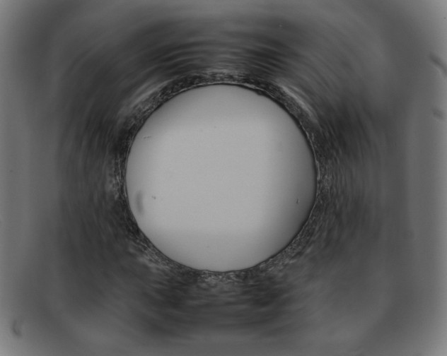 X0000092101015200709121105