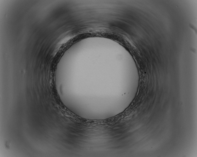 X0000092101016200709121105