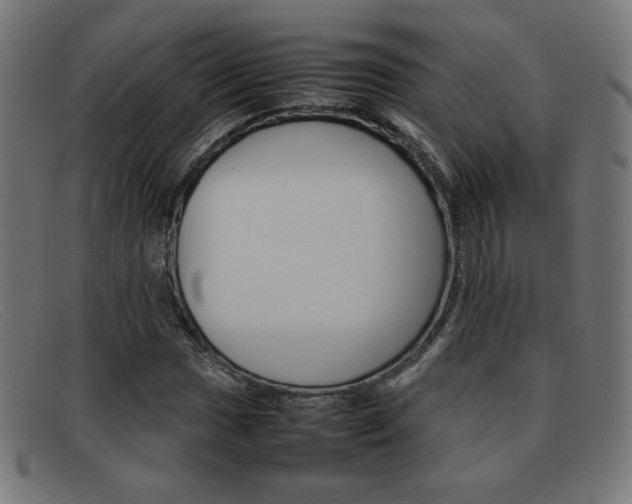 X0000092101017200709121105
