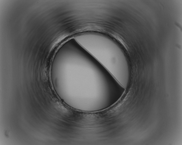 X0000092101018200709121105