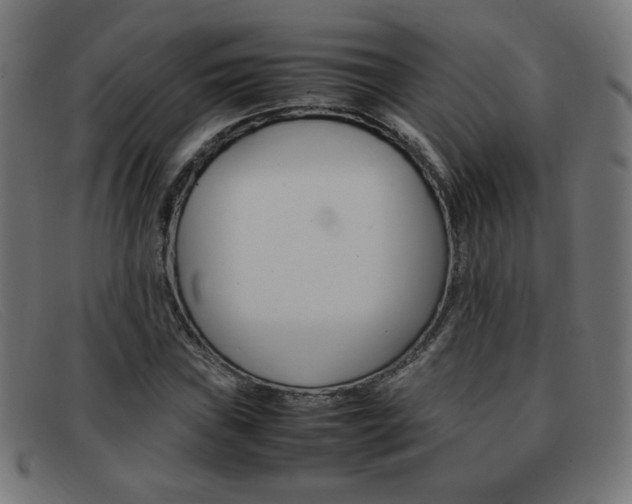 X0000092101019200709121105