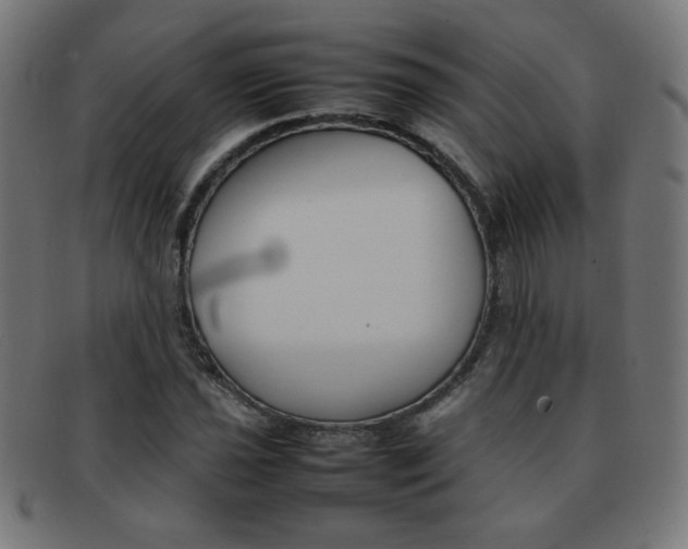 X0000092101021200709121105