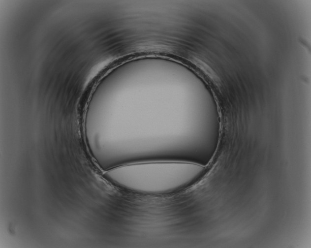 X0000092101022200709121105