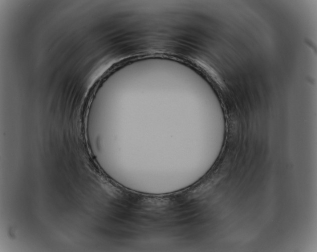X0000092101023200709121105