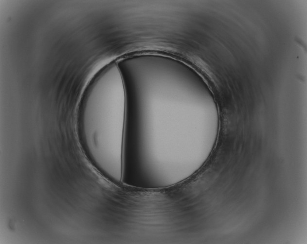 X0000092101024200709121105