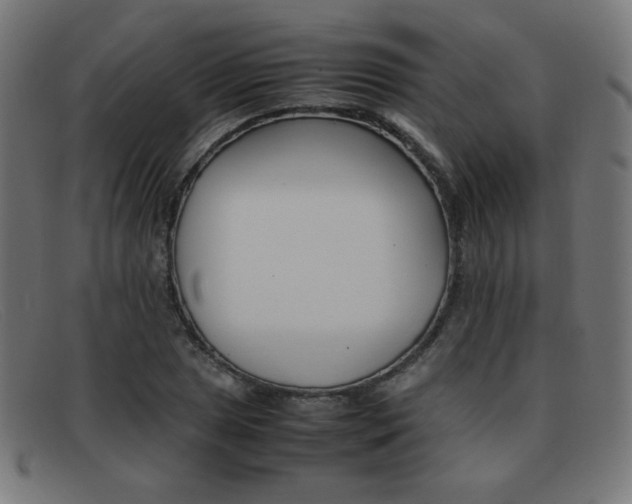X0000092101025200709121105