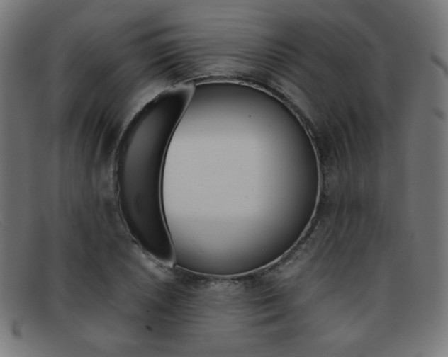 X0000092101026200709121105