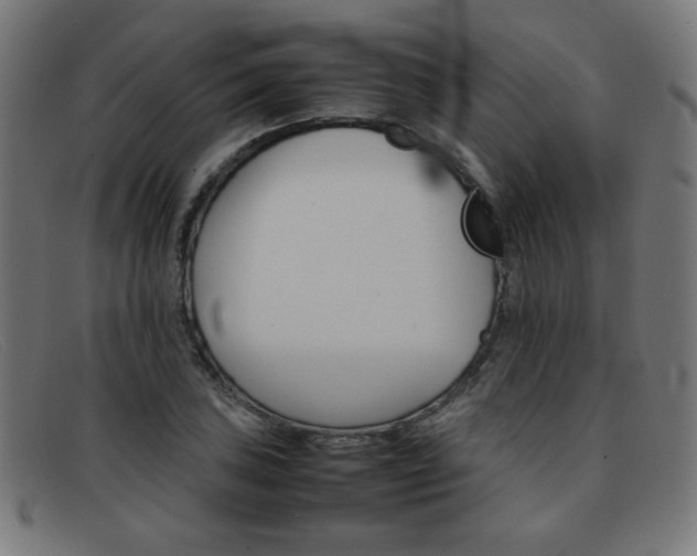 X0000092101027200709121105