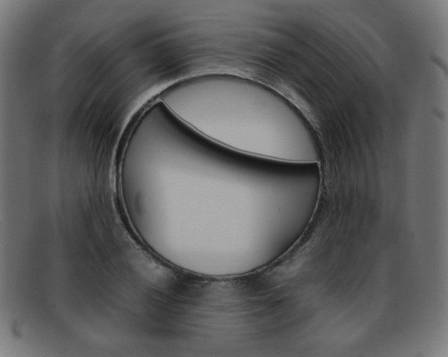 X0000092101028200709121105