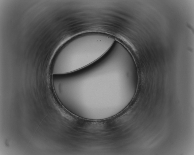 X0000092101029200709121105