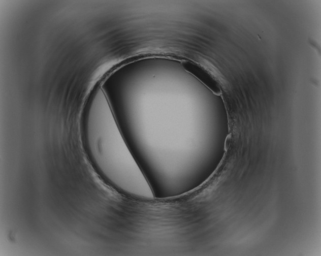 X0000092101030200709121105