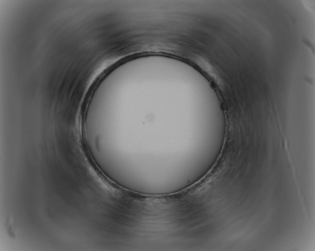 X0000092101032200709121105