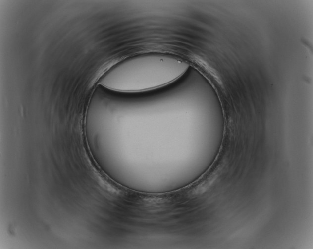 X0000092101033200709121105
