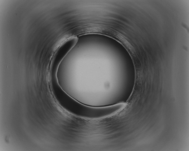 X0000092101034200709121105