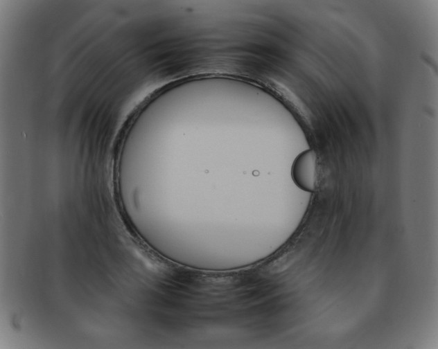 X0000092101035200709121105