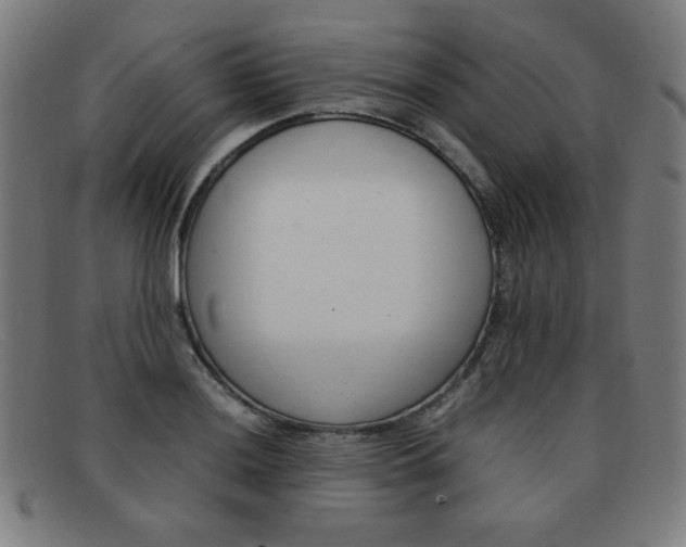X0000092101036200709121105