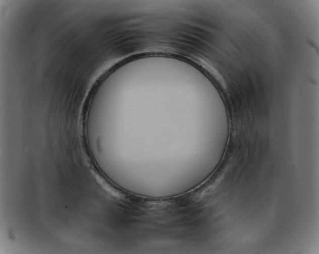 X0000092101037200709121105
