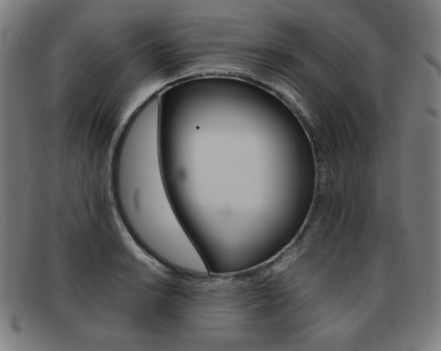 X0000092101038200709121105