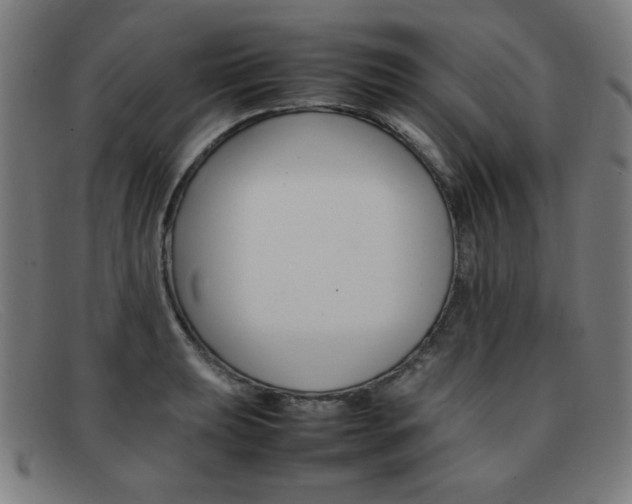 X0000092101039200709121105