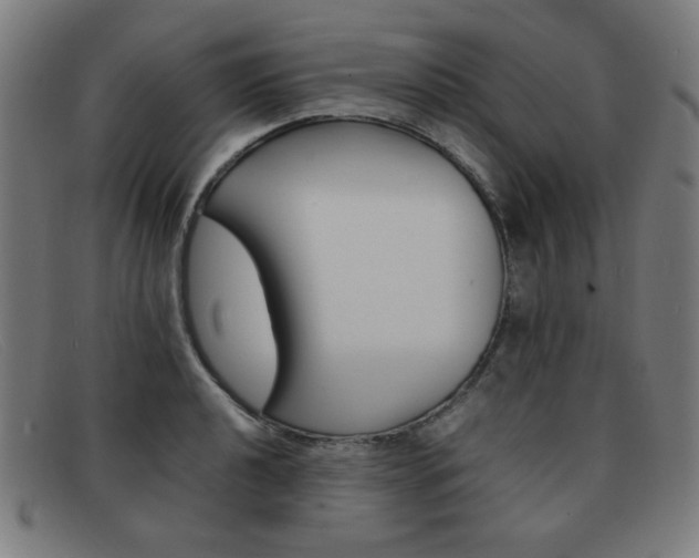 X0000092101040200709121105