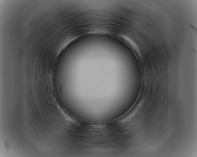 X0000092101041200709121105