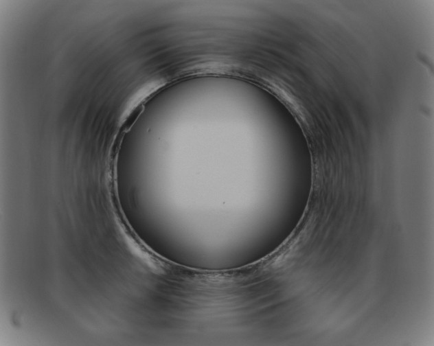 X0000092101042200709121105