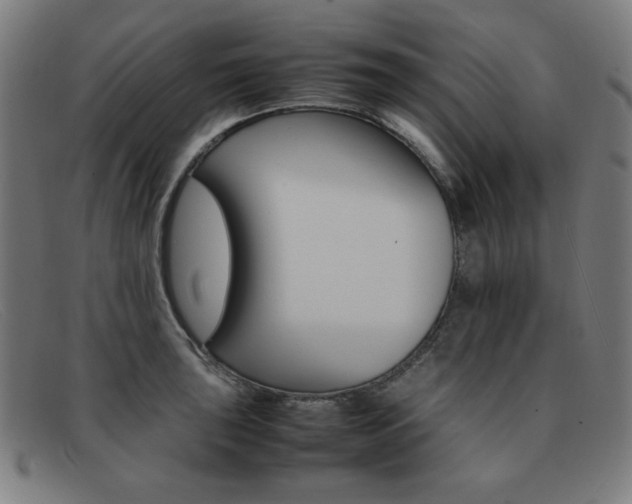 X0000092101043200709121105
