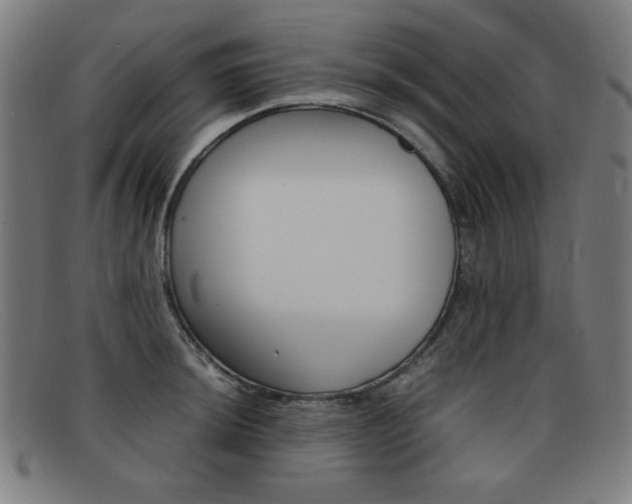 X0000092101044200709121105