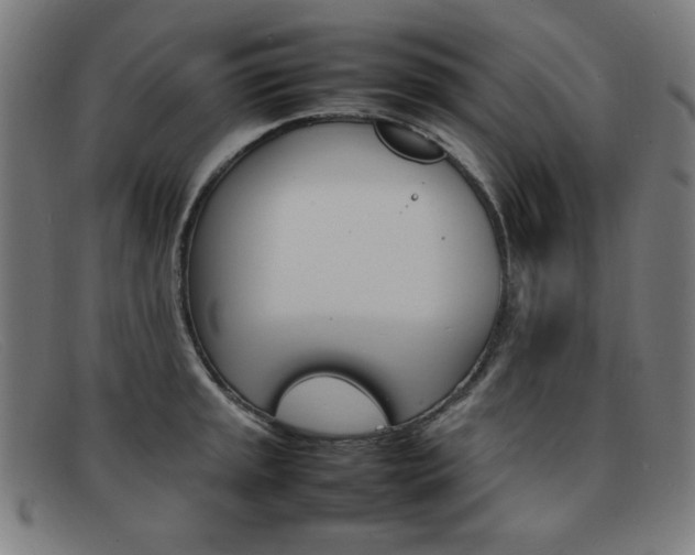 X0000092101045200709121105