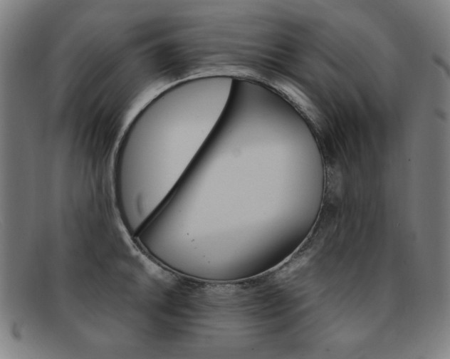 X0000092101046200709121105
