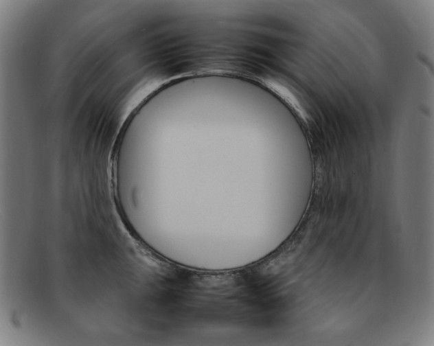 X0000092101047200709121105