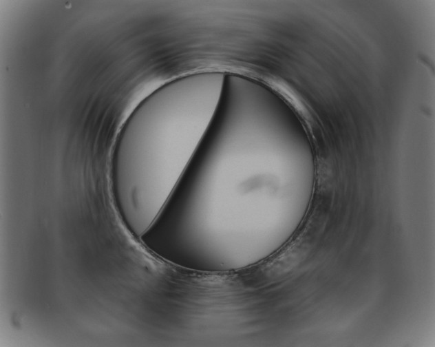 X0000092101048200709121105
