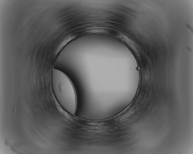 X0000092101049200709121105