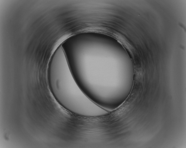 X0000092101050200709121105