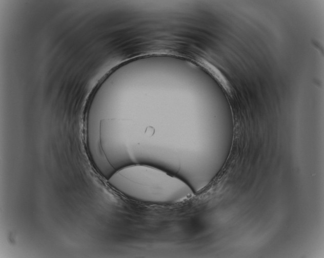 X0000092101051200709121105