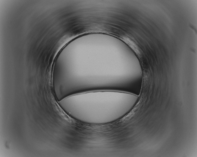 X0000092101052200709121106