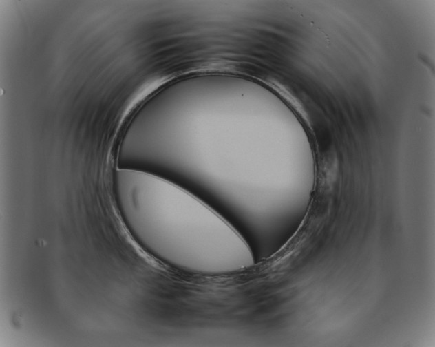 X0000092101053200709121106