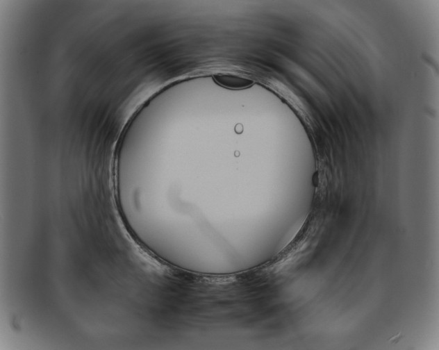 X0000092101055200709121106